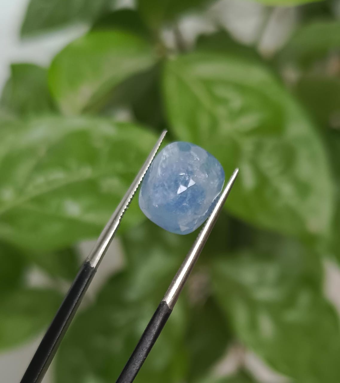 Ceylon sapphire 7.30ct