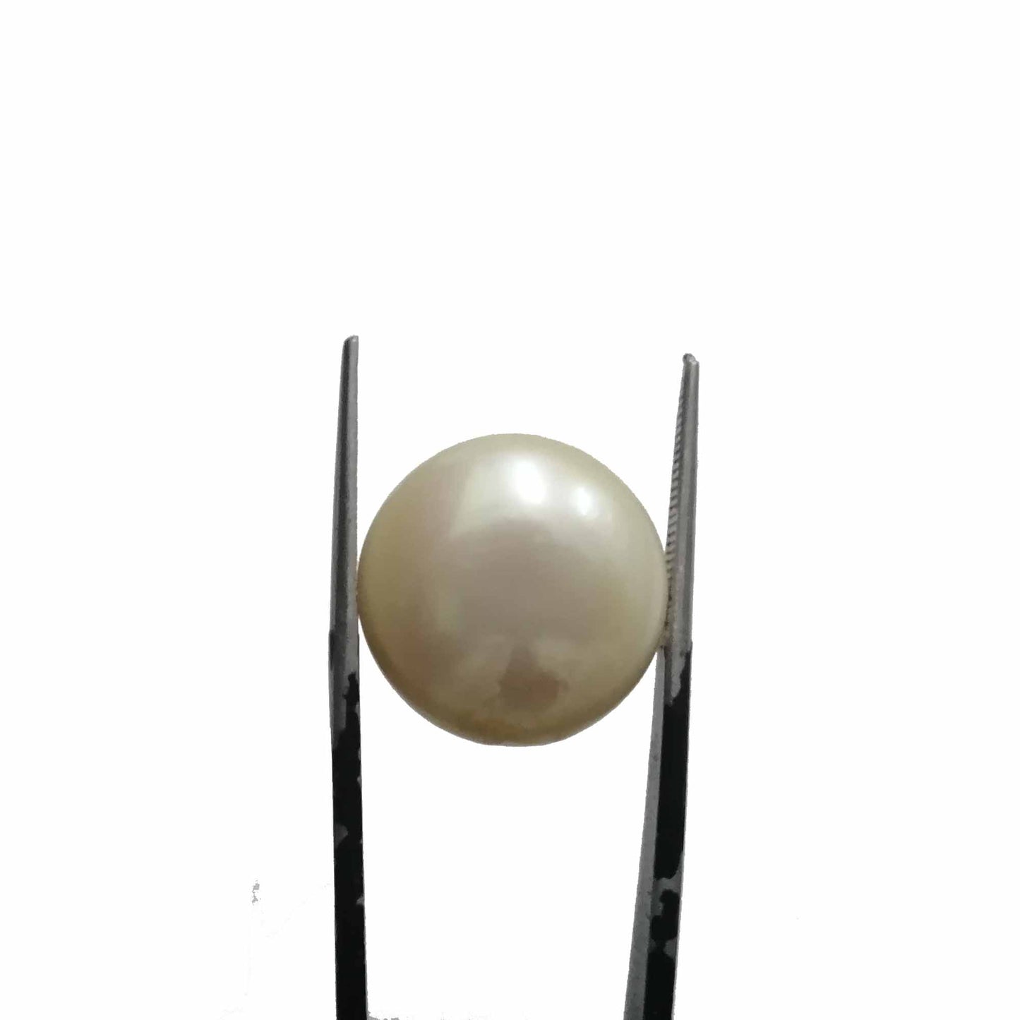 Pearl 19.30ct