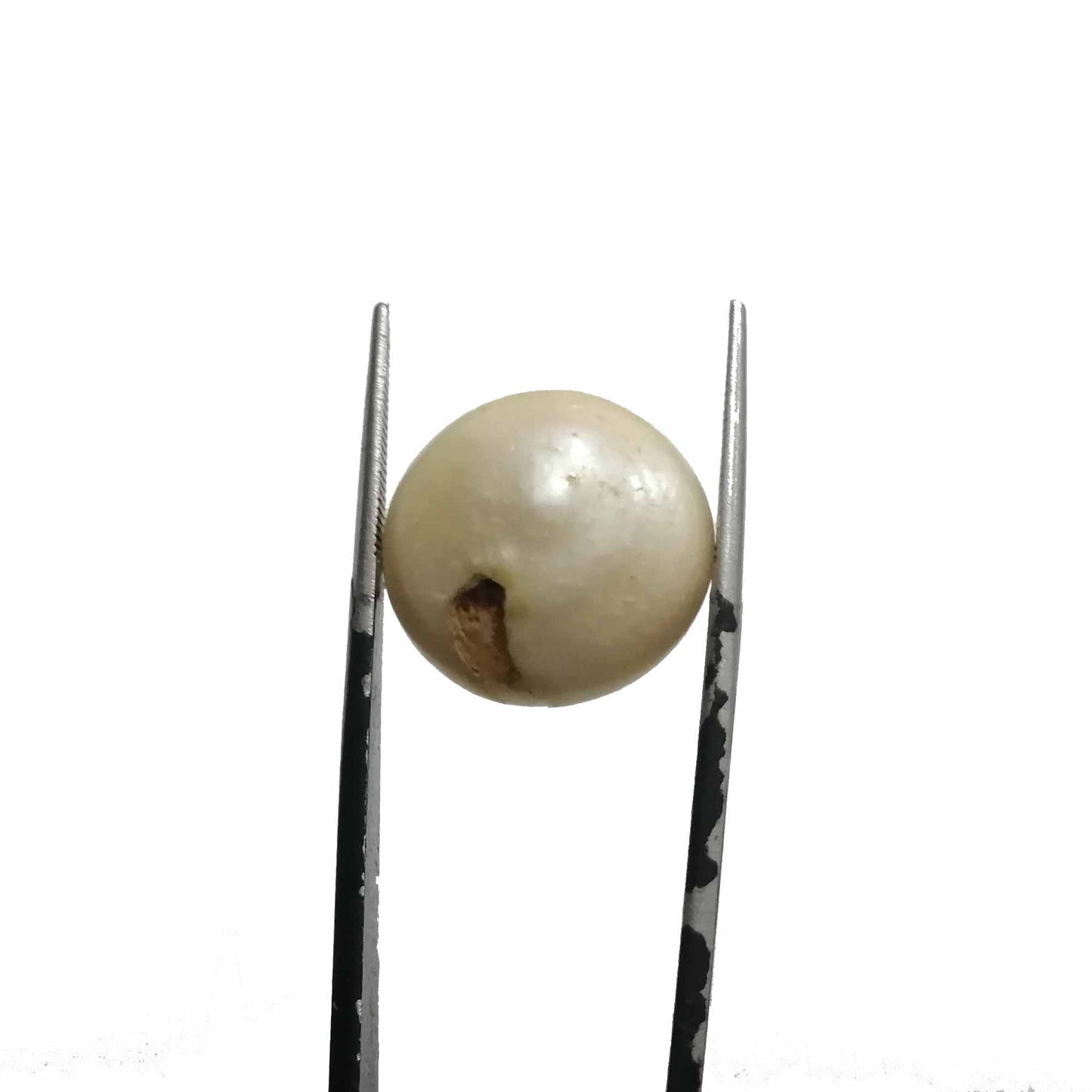 Pearl 19.30ct