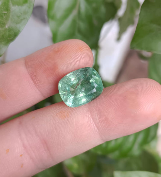 Tourmaline VIVID green 11.30ct