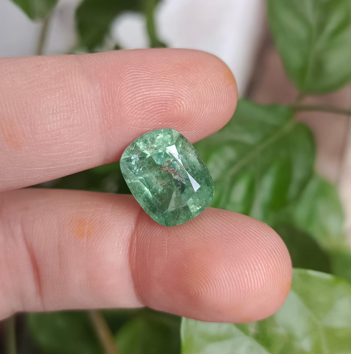 Tourmaline VIVID green 11.30ct