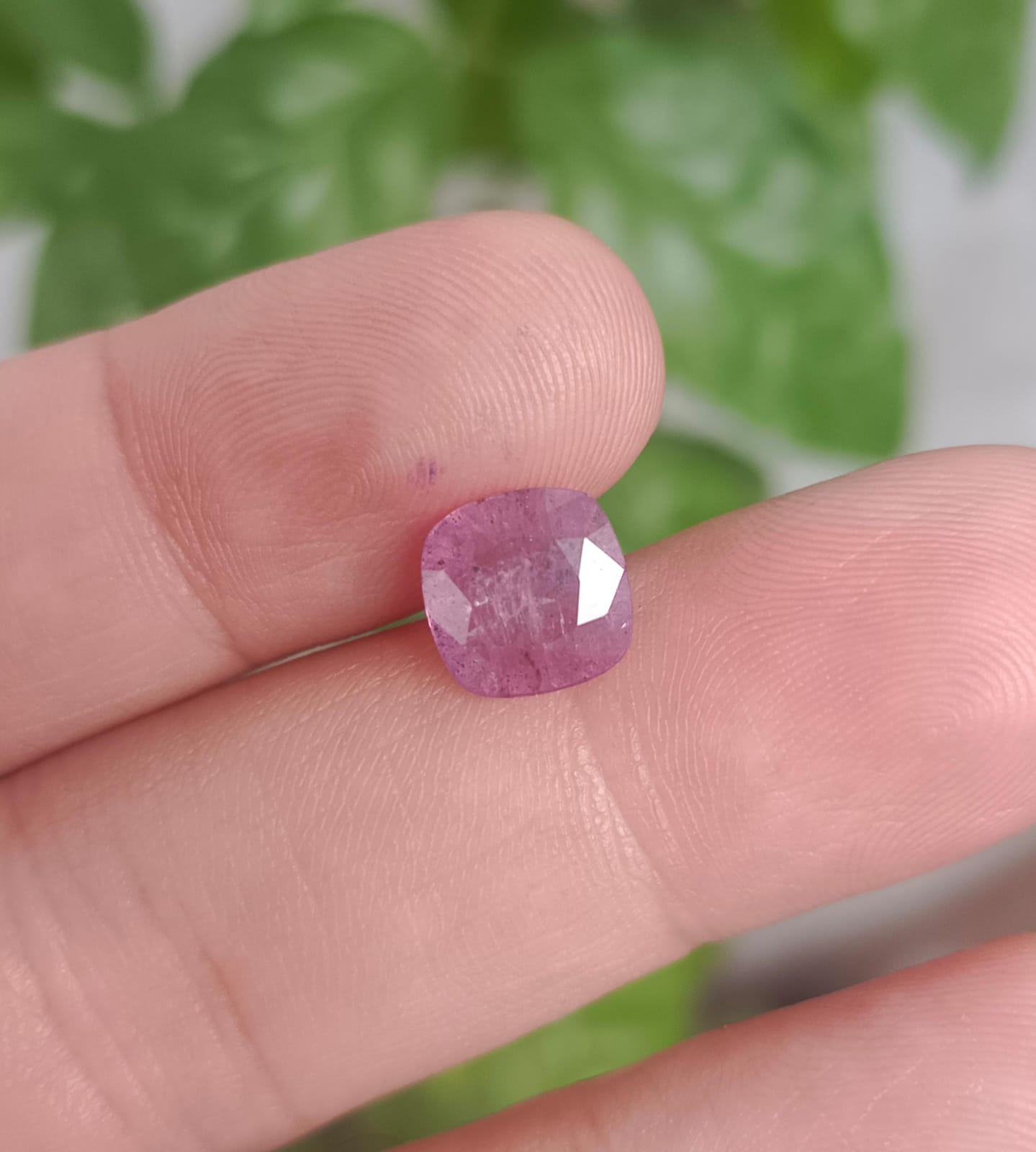 Kashmiri Ruby 2.5ct